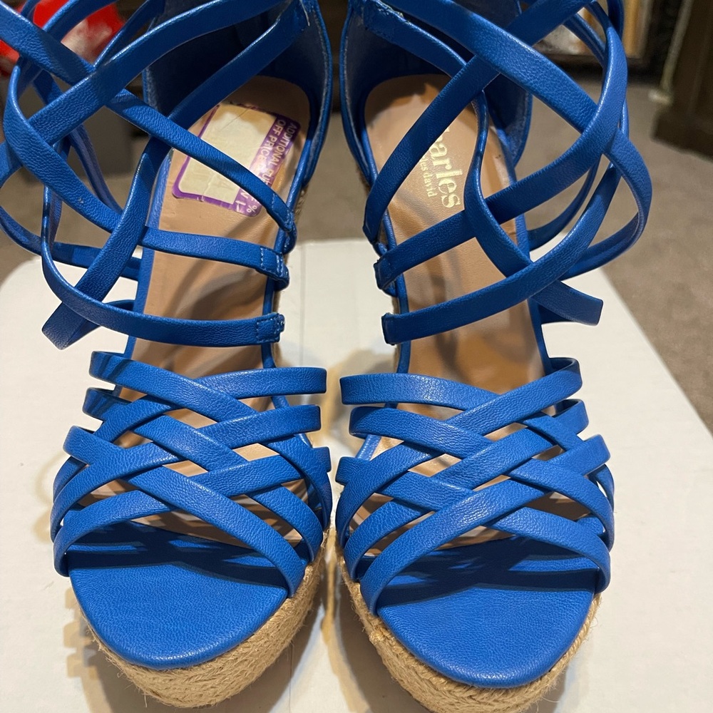 Blue wedge sandals!